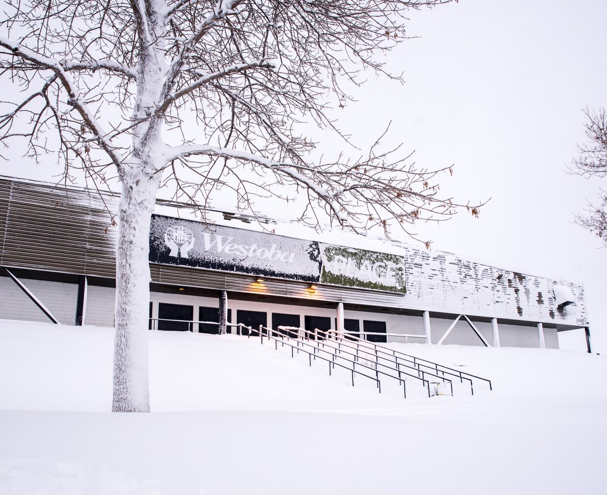 Snow day! Warning ended, snow continues in Brandon on Saturday Buzz