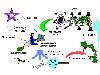 This is a U.S. AF's Global Weather Network matrix.  Notice 