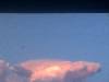 Shark Cloud